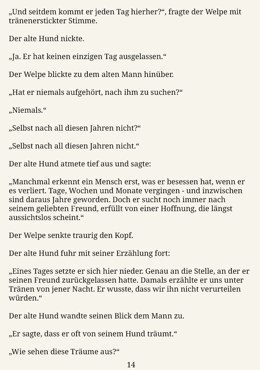 Der Weg der Vergessenen – Seite 17