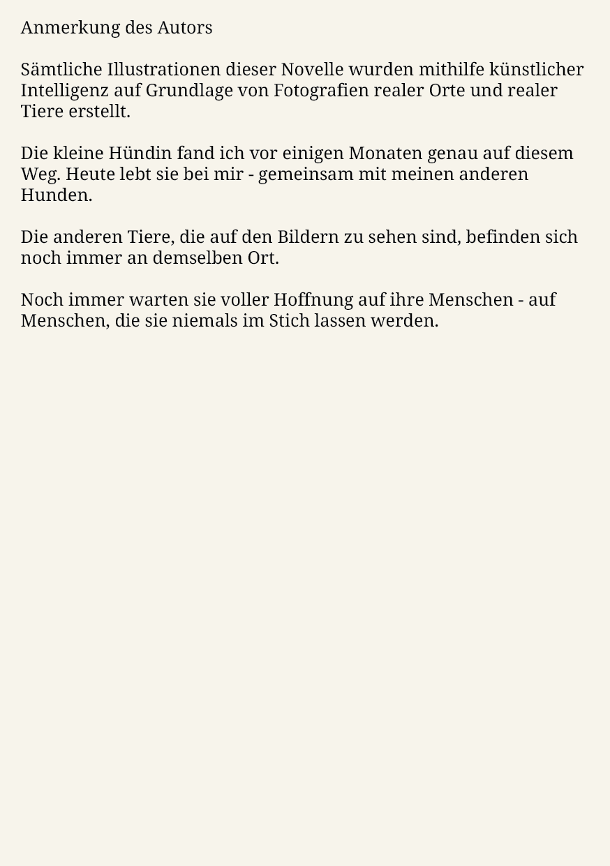Der Weg der Vergessenen – Seite 33